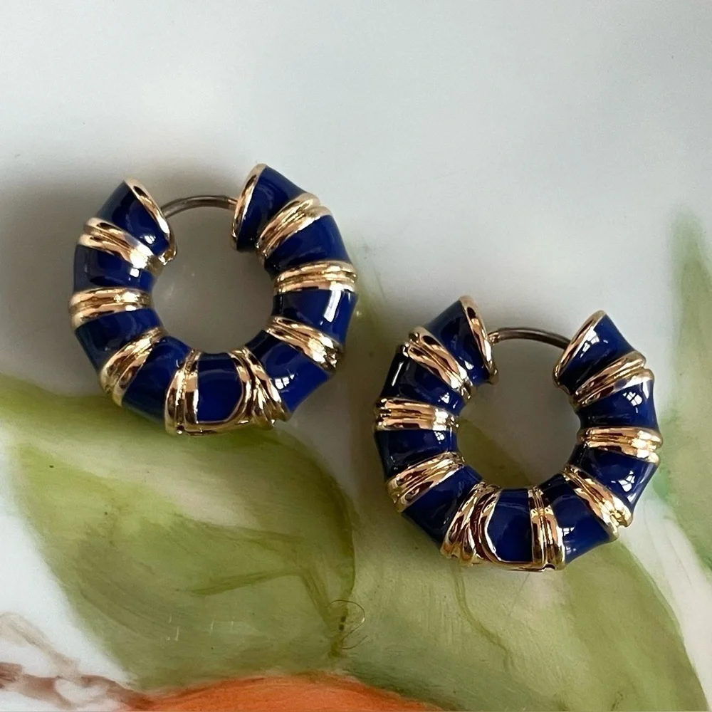 ✨Anthropologie Collins Earrings